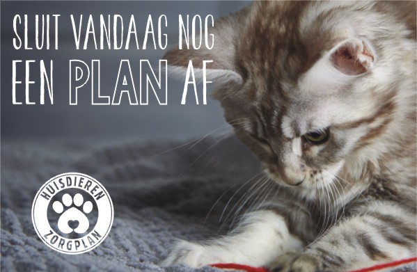 Sluit vandaag een plan af